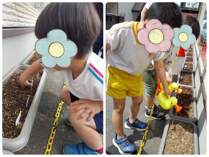 児童発達支援　リトル　晴る日　高柳事業所/おおきくなあれ🌻✨