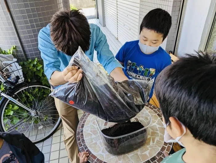 言葉のにわ-宝-/カブトムシ幼虫用の土を頂きました。