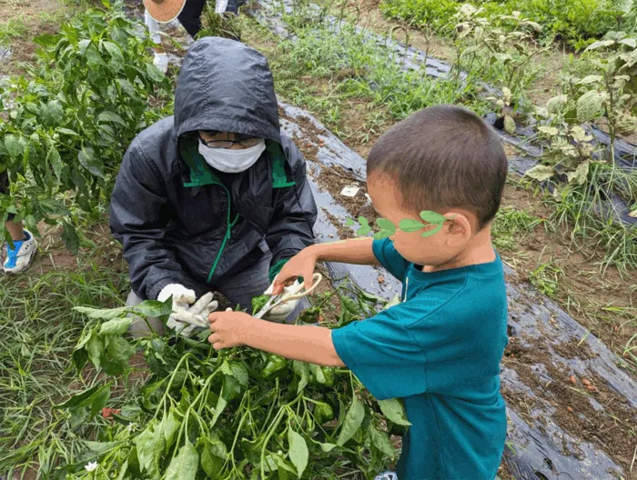 言葉のにわ-宝-/9月の農作業体験