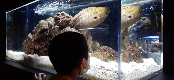 放課後等デイサービス　カーサ・ブリランテ/おでかけ「京都水族館」Ⅲ