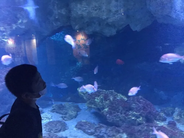 放課後等デイサービス　カーサ・ブリランテ/京都水族館へ✨