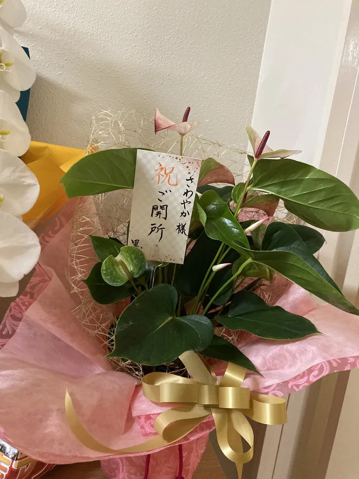 多機能型事業所さわやか/開所祝に観葉植物をいただきました✨