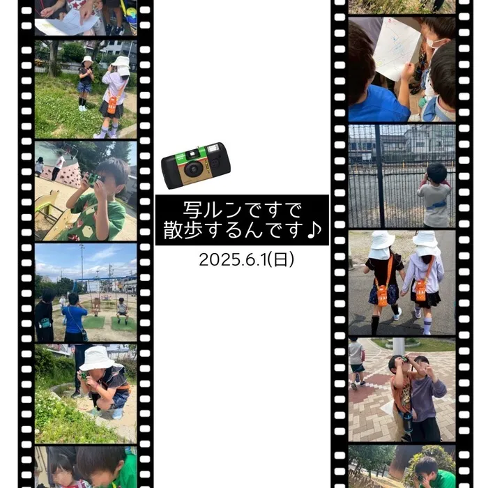  poppy fam（ポピーファム）/写るんですで散歩するんです🎶