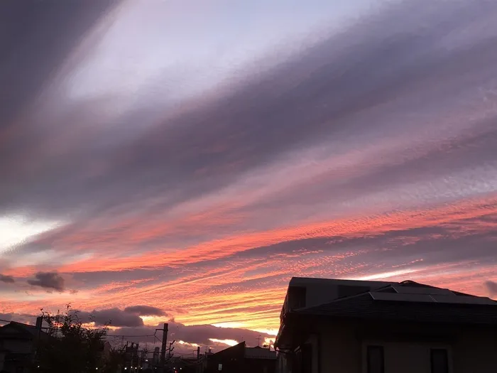 ぴっぴ新田/ぴっぴ新田から見える景色