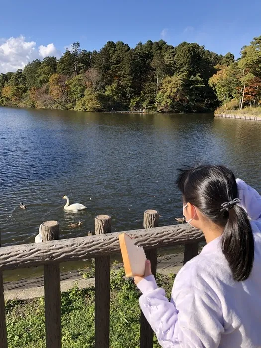 ぴっぴ新田/🦢冬の訪れ🦢