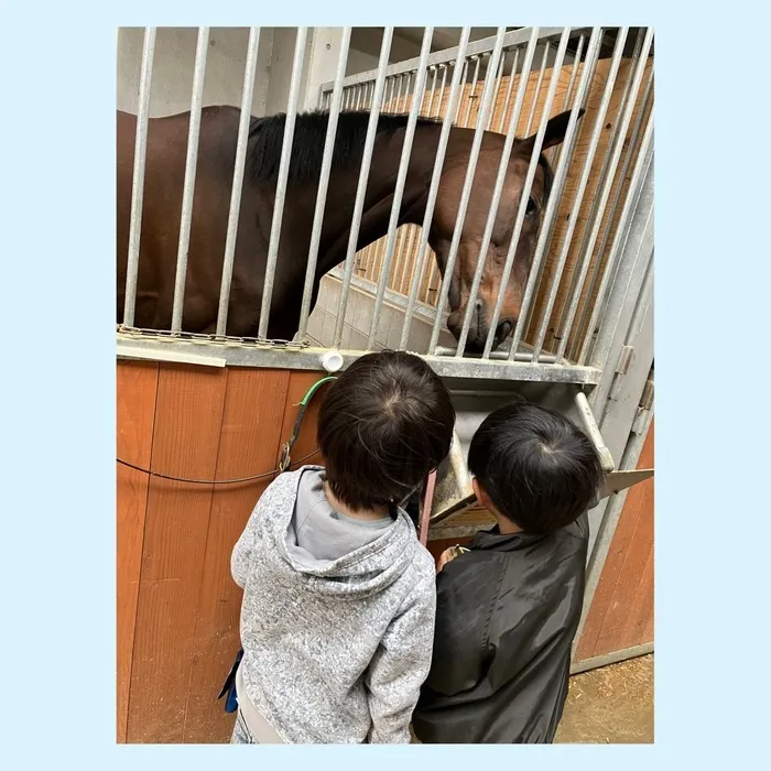 ぴっぴ新田/お馬さんに初めての餌やり体験🐎