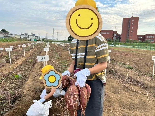 ブロッサムジュニア　流山教室/活動紹介🍠