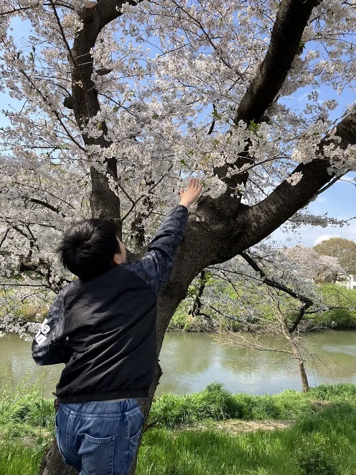 ヒトツナ北越谷教室/お花見