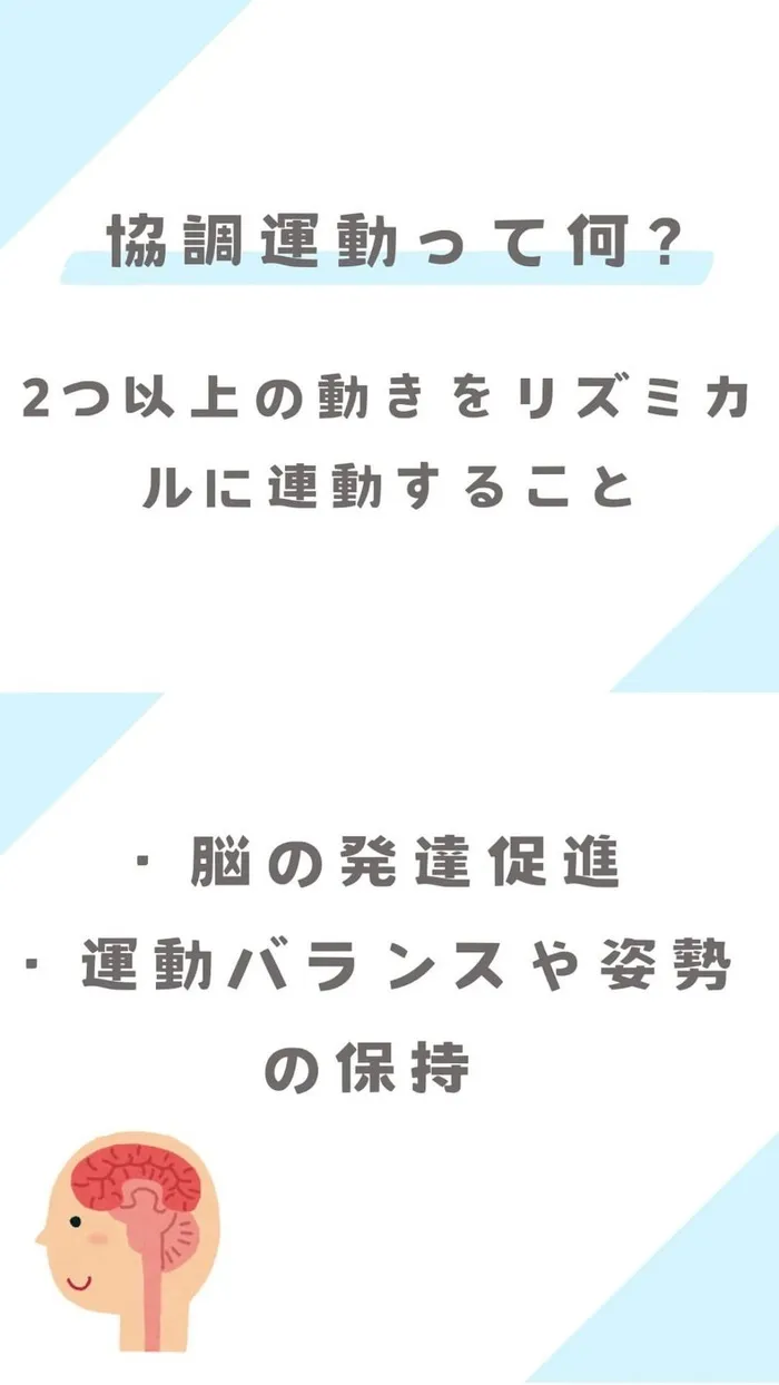 スパーク衣笠/協調運動とは