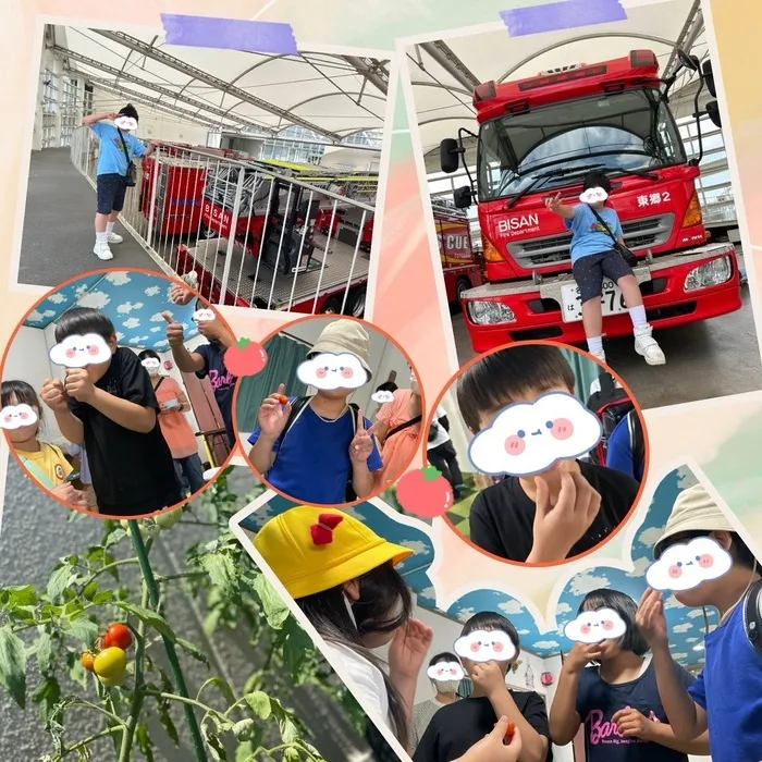 ありがとう/とまと大収穫祭✨