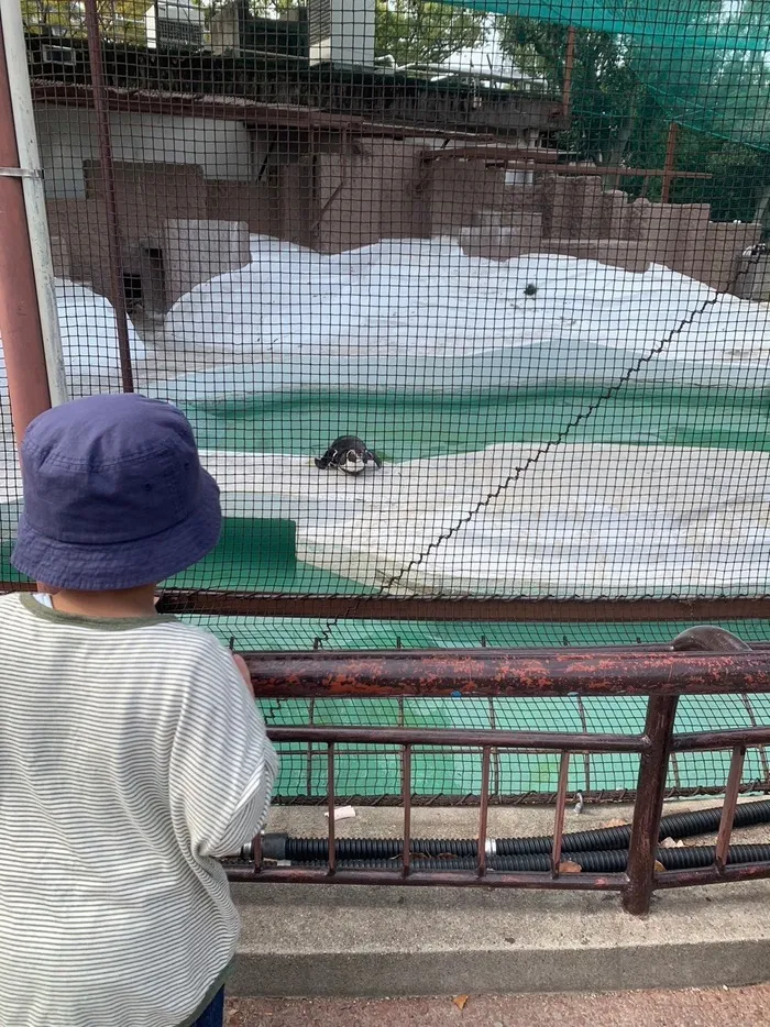 ライズ児童デイサービスひらのの家/天王寺動物園に行ってきました❗️