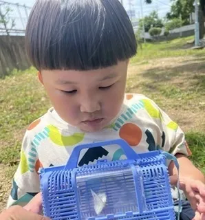 ライズ児童デイサービスひらのの家/ちょうちょだよ🦋