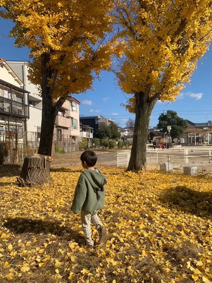 ライズ児童デイサービスひらのの家/カサカサ落ち葉🍁