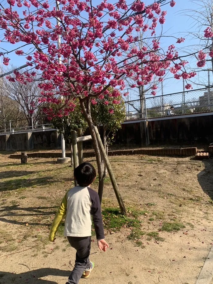 ライズ児童デイサービスひらのの家/公園に！