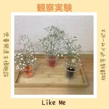 Like Me 横浜大倉山スペース/観察実験