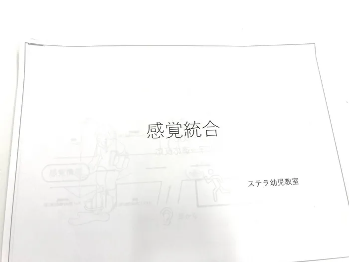 【個別療育・ビジョントレーニング】　ステラ幼児教室・新大阪校　(児童発達支援)　【見学・相談 随時受付中！】/今月の研修会✎