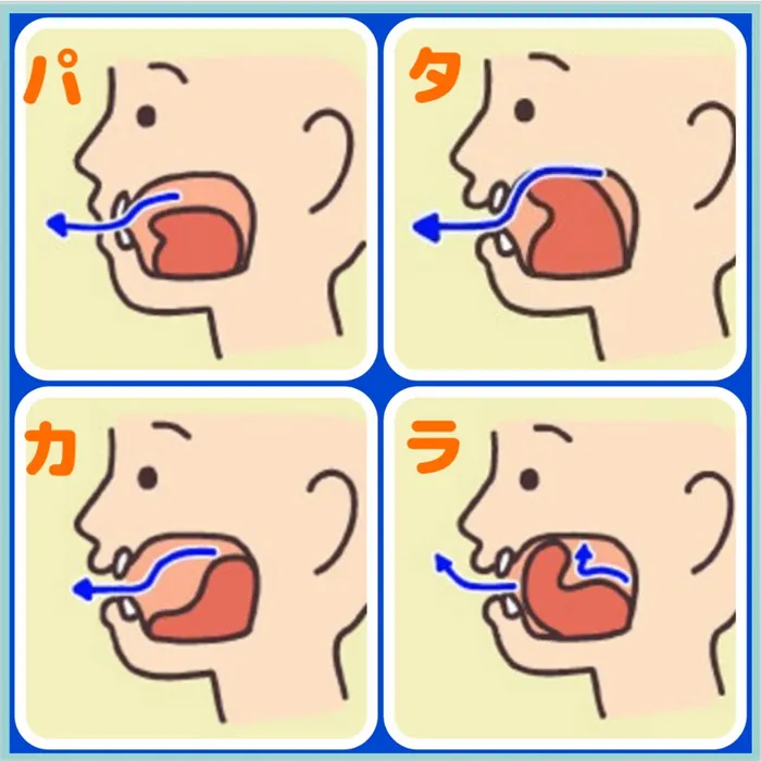 からふる/食べる力について