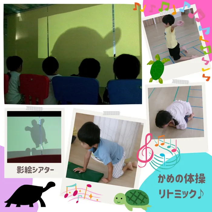 からふる/カメさんになりきろう！