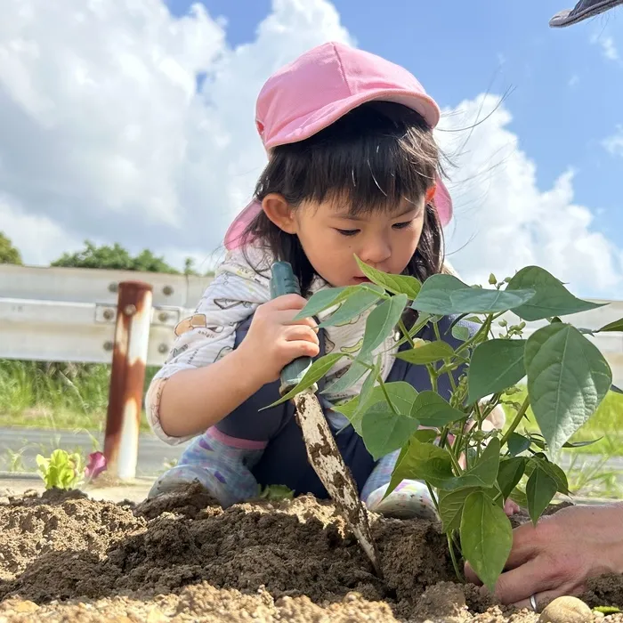 からふる/からふるファームに苗を植えたよ🌱