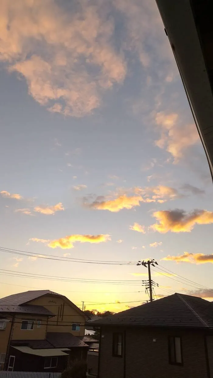 虹色のたね/きれいな夕焼け(*^。^*)