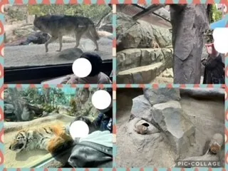 チャイルドサポートたからづか/神戸どうぶつ王国②🐅