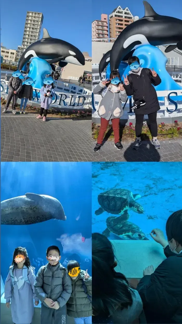 チャイルドサポートたからづか/🐟須磨シーワールド🐟