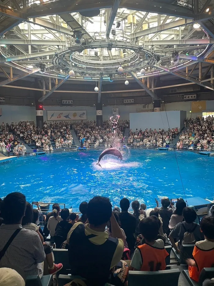 きっずあいらんど川崎台町教室/イルカを見に行こう🐬