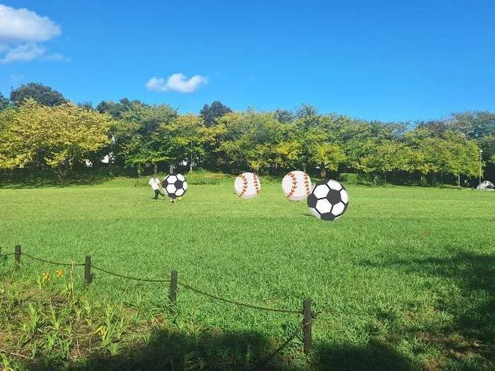 きっずあいらんど川崎台町教室/デリバリーランチ🍱＆公園で遊ぼう🏞️