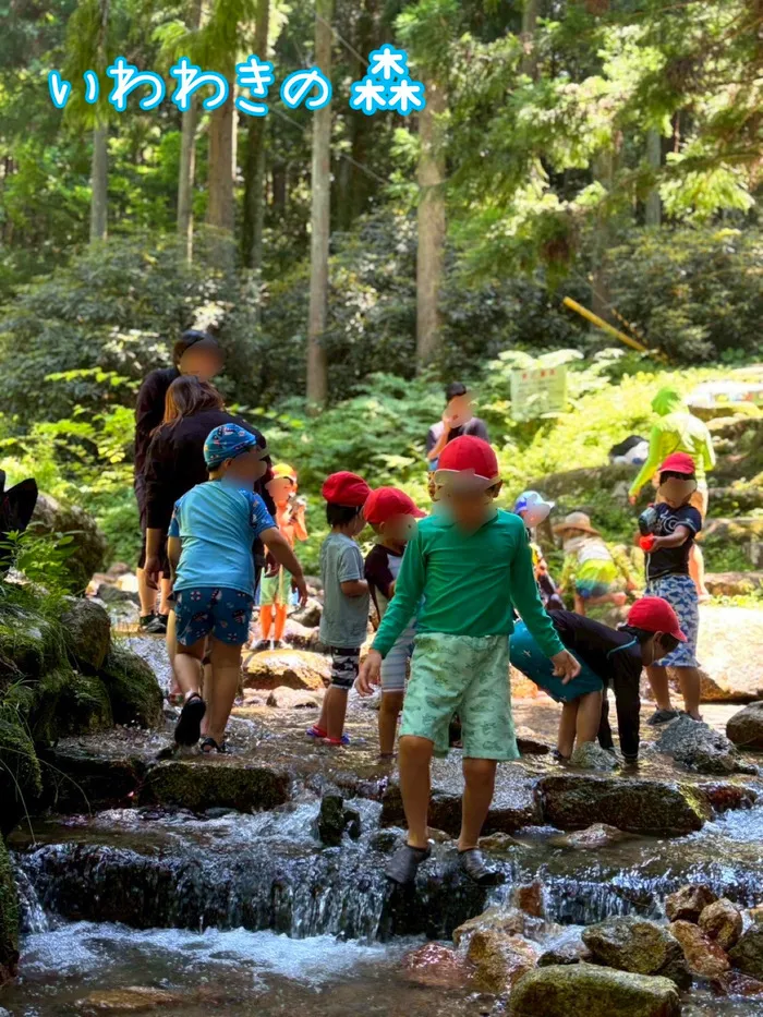 運動療育　きりんのあくびkids なんば/いわわきの森🏞️