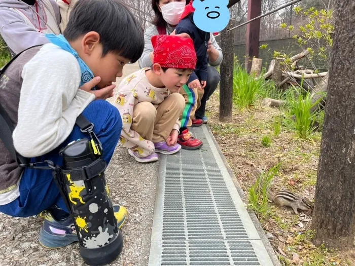 こぱんはうすさくら　北上尾教室/さいたま市の市民の森に行ってきました！