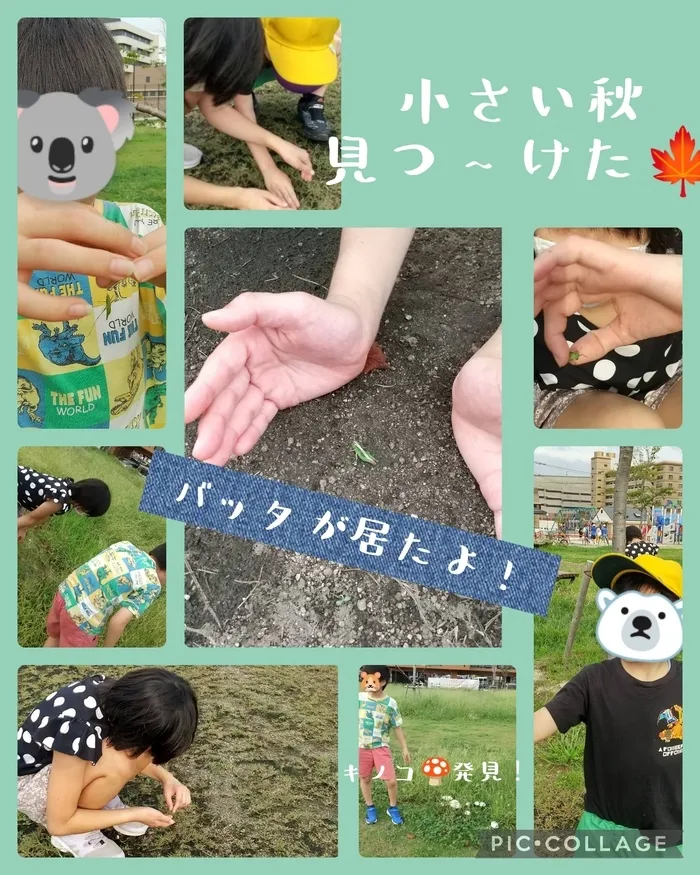 みらいへのこみち/運動遊び🧑‍🤝‍🧑