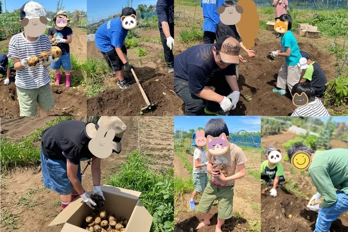 わくわくハウス上尾平塚校/【上尾平塚校】　🥔じゃがいも掘り🥔