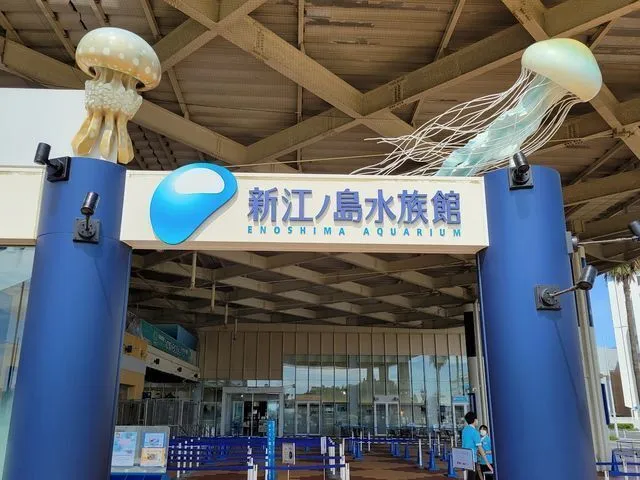 放課後デイサービスtoiro三浦海岸/【新江ノ島水族館に行こう！】