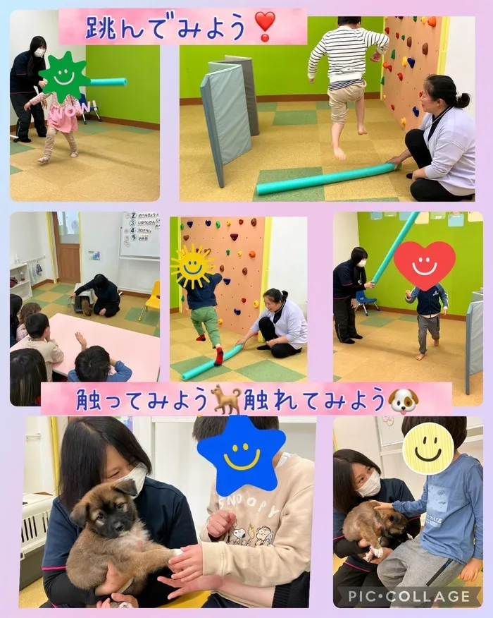 ブロッサムジュニア　つくば並木教室/🏃‍♂️運動／SST🐕