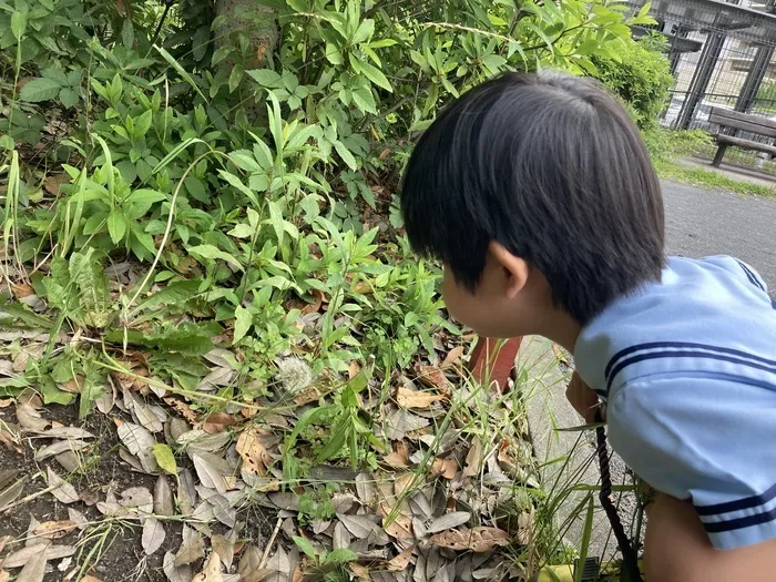 【2023年9月オープン　送迎あり！】 リアライズ川崎溝口（未就学児）/ふーーー💨