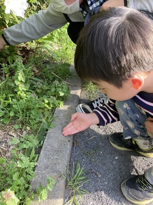 【2023年9月オープン　送迎あり！】 リアライズ川崎溝口（未就学児）/虫さんヤッホー！！！🐛