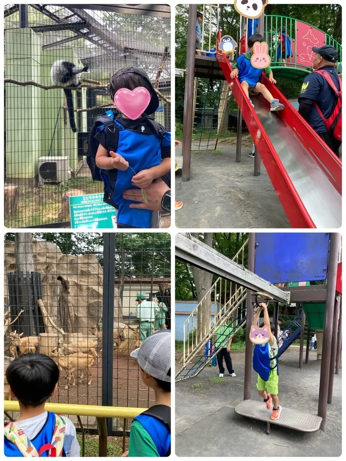 ウィズ・ユー川崎生田/動物公園に行ってきました🦡🐿️🐒