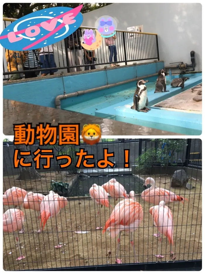 ウィズ・ユー川崎生田/外出イベントin動物園🐧