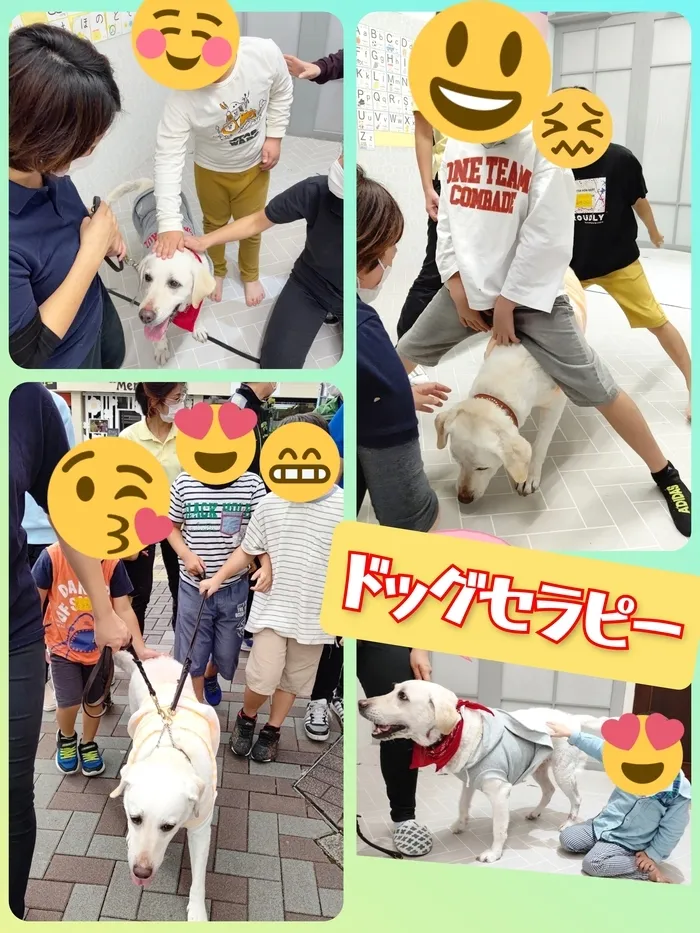 めいとう児童デイサービスリリアン/ドッグセラピー🐶