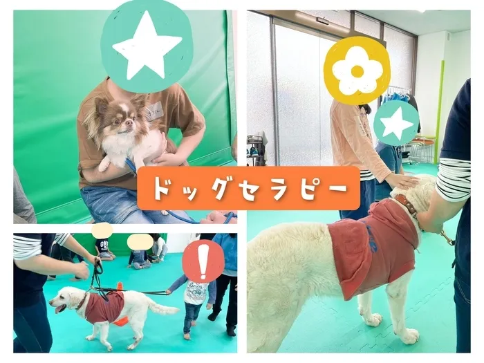 めいとう児童デイサービスリリアン/🐶ドッグセラピー🐶