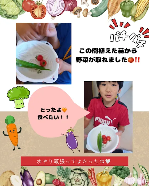 児童発達支援・放課後等デイサービス　やわら/野菜の収穫🥬