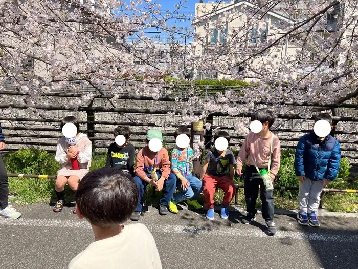 児童発達支援・放課後等デイサービス にこにこステップ/【おさんぽ】桜を見に行きました🌸🚶