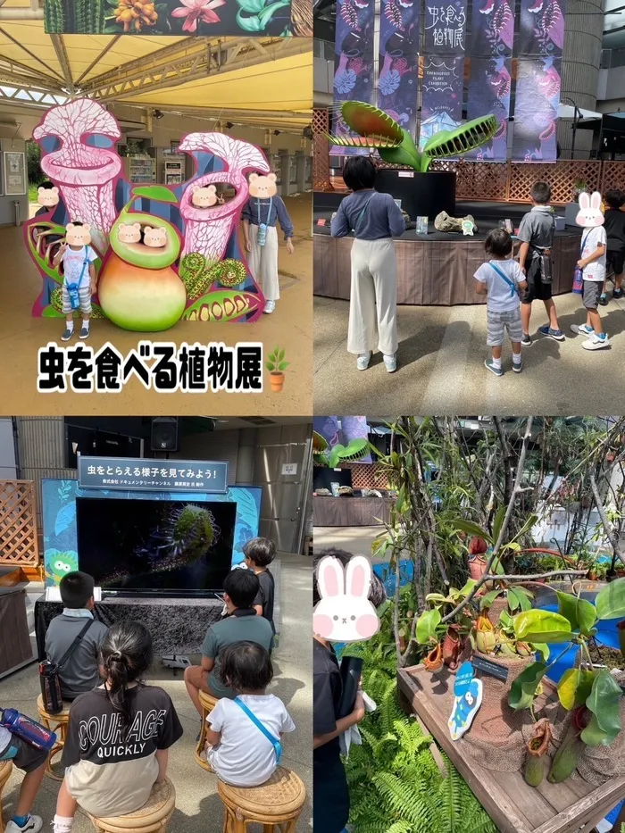 LEGON Kids ＋/虫を食べる植物展に行ってきました！