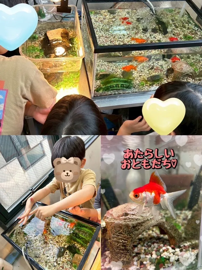 LEGON Kids ＋/新しいおともだち♡