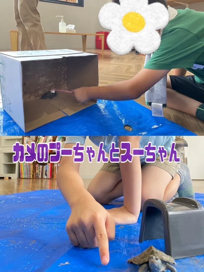 LEGON Kids ＋/カメのプーちゃんとスーちゃん🐢