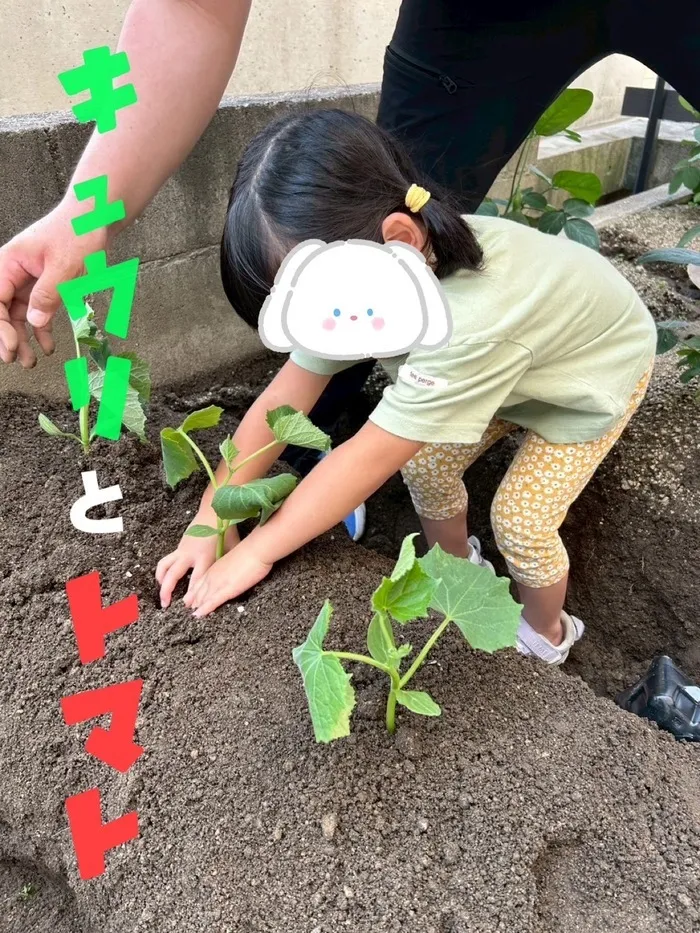 LEGON Kids ＋/キュウリとトマト🥒🍅