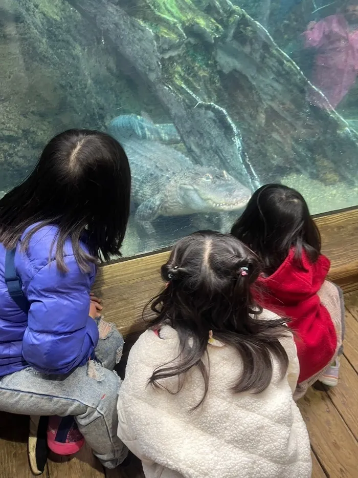 LEGON Kids ＋/🦒天王寺動物園🐢