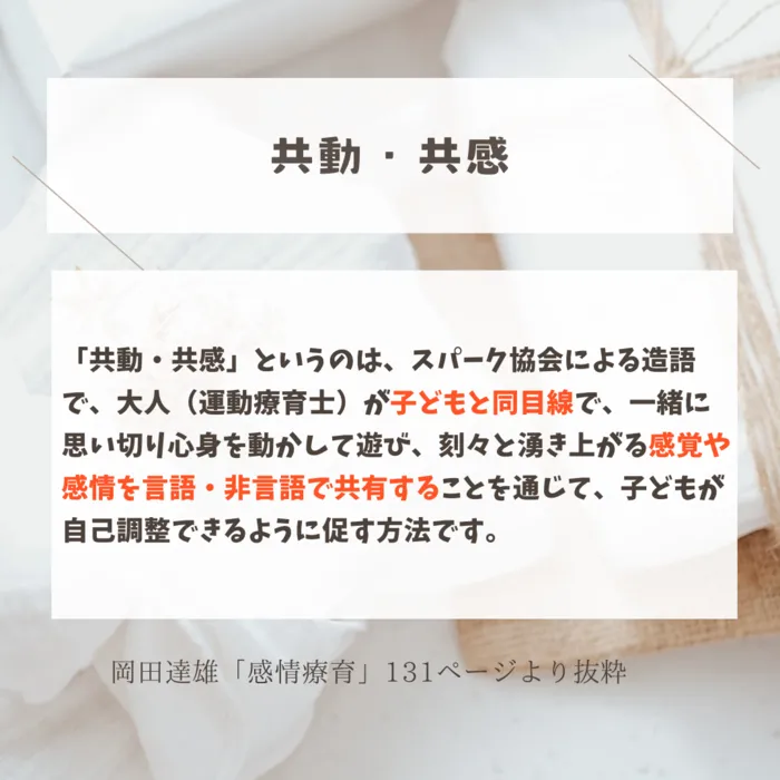 スパークランド仙台宮城野/私たち運動療育士が大切にしている『共動・共感』のお話です✨