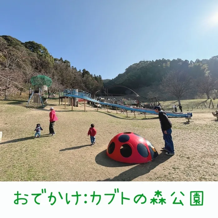 児童発達支援・放課後等デイサービスMORE～モア～筒井校/おでかけ:カブトの森公園