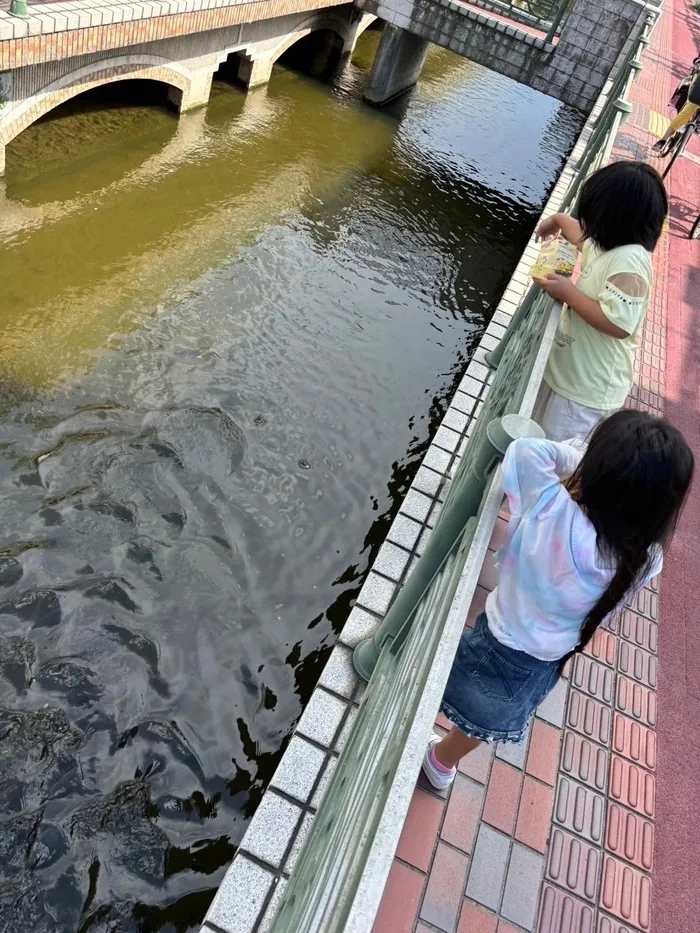 放課後等デイサービスラピ/鯉に餌やり🐟